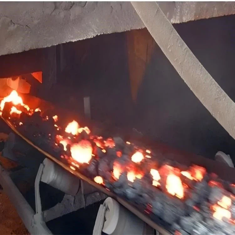 heat resistant conveyor belt 5 heat resistant conveyor belt 5